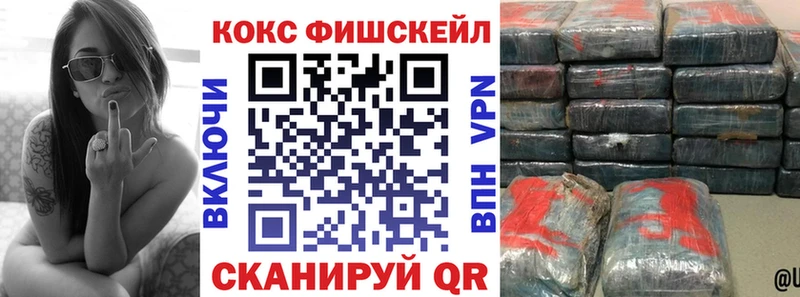 Кокаин Fish Scale  Петровск-Забайкальский 