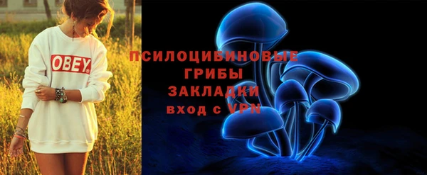 спиды Алзамай