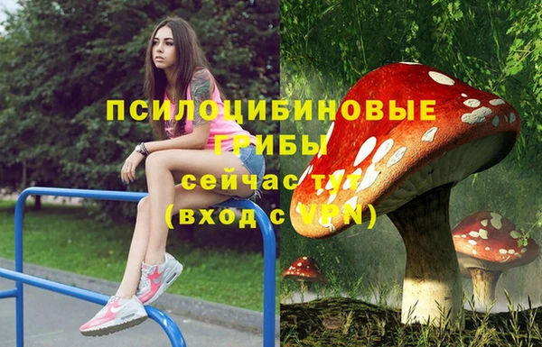 спиды Алзамай