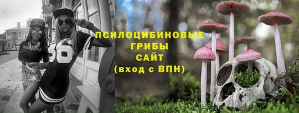 спиды Алзамай