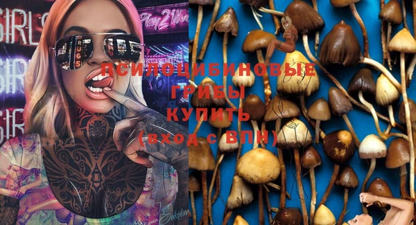 спиды Алзамай