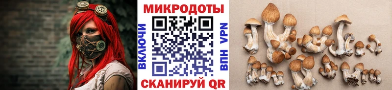 Галлюциногенные грибы Magic Shrooms Петровск-Забайкальский